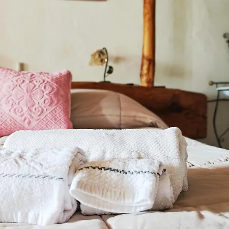 Jannas אורגוסולו