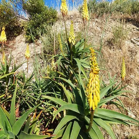 Pensionat Affittcamere Jannas