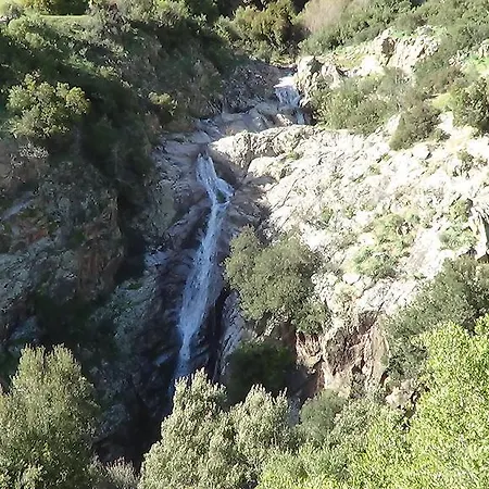 Pensionat Affittcamere Jannas