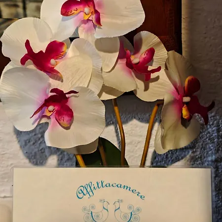 Locanda Jannas 3* Orgosolo