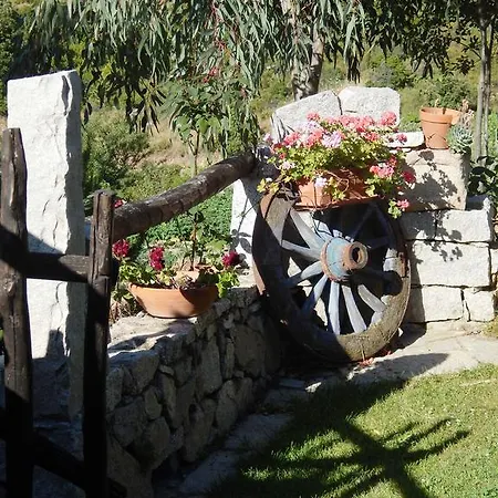 Affittcamere Jannas ゲストハウス 3*