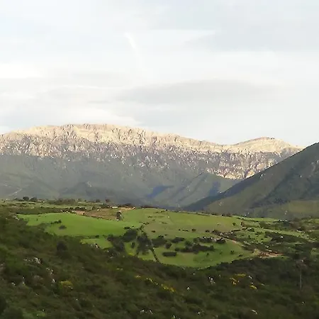 Jannas
