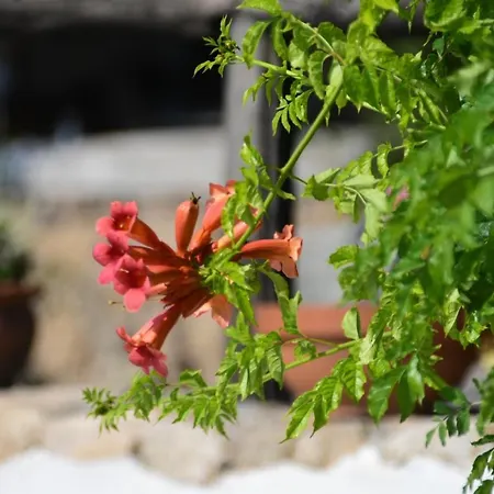 Locanda Jannas Penzion