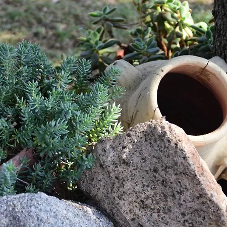 Locanda Jannas Orgosolo